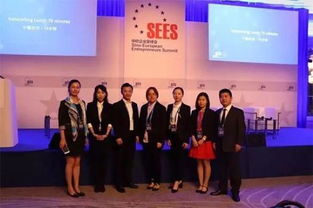 毕业了，我们去哪——探索商务服务的职业方向